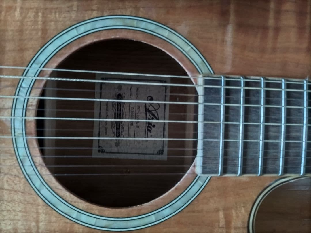 Aria 12弦エレアコ　FET-12-SPL N