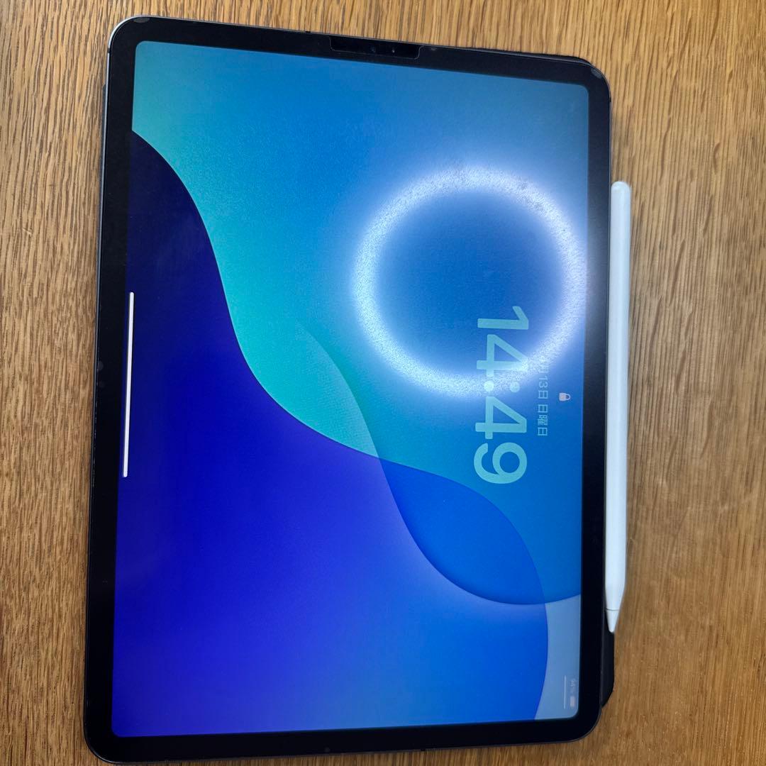 iPad Pro (第1世代) 11インチ 256GB Cellular