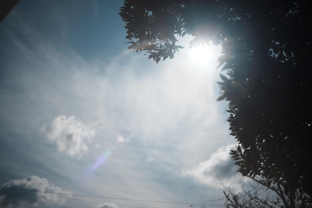 この値段でライカ級｜富岡光学製 XR RIKENON 50mm F2 362