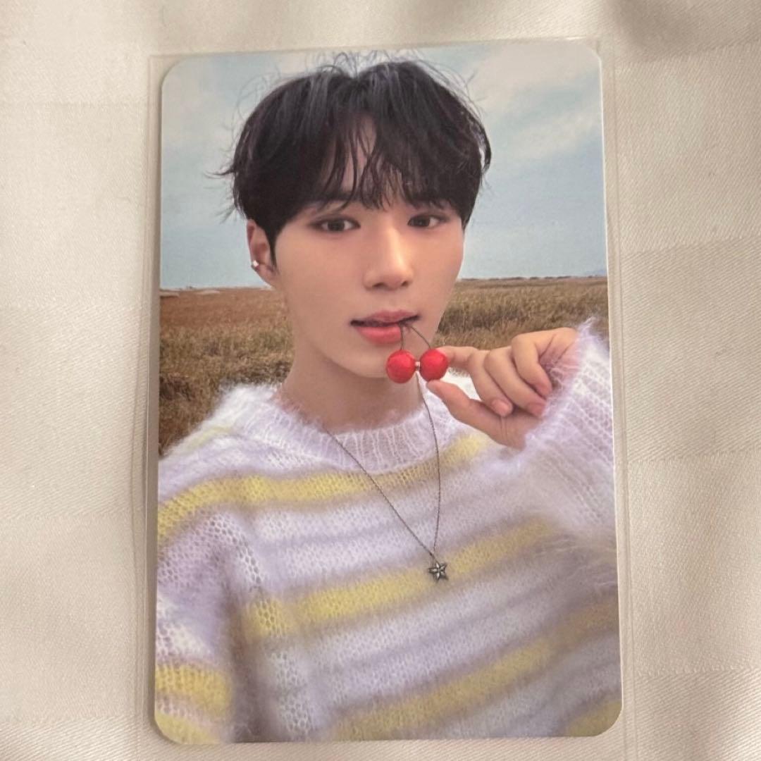 ALD1 ジュンソ EUPHORIA サノク 事前収録 限定 トレカ A