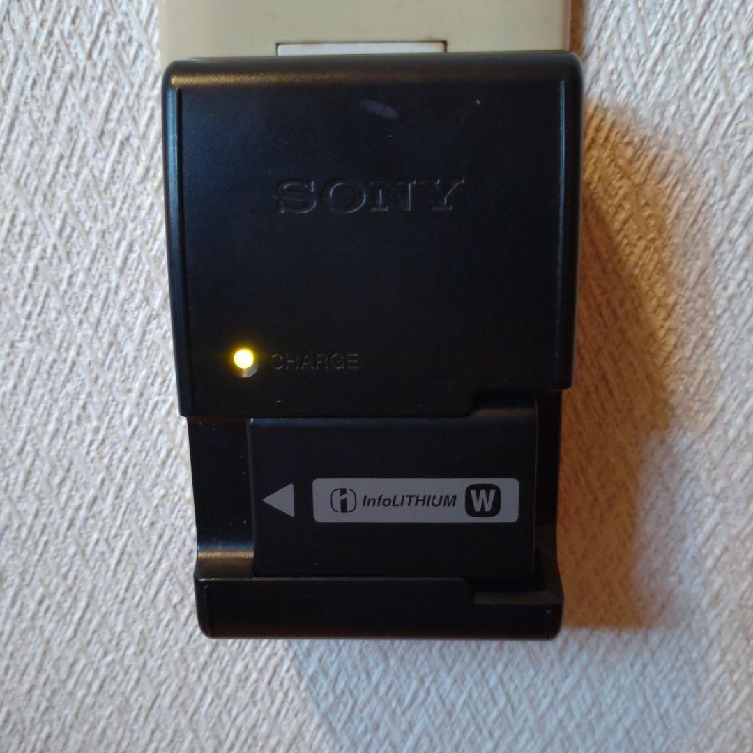 SONY α6000 ミラーレス一眼