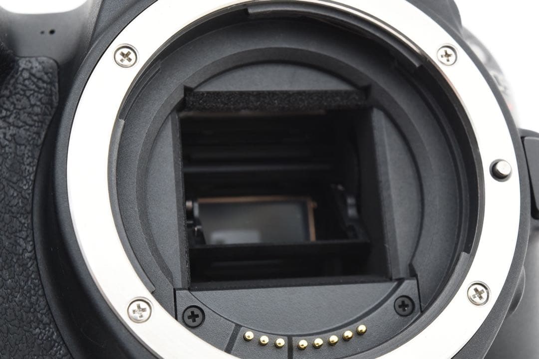 保証付き/Wi-Fi搭載/canon kiss x9標準&望遠ダブルレンズセット