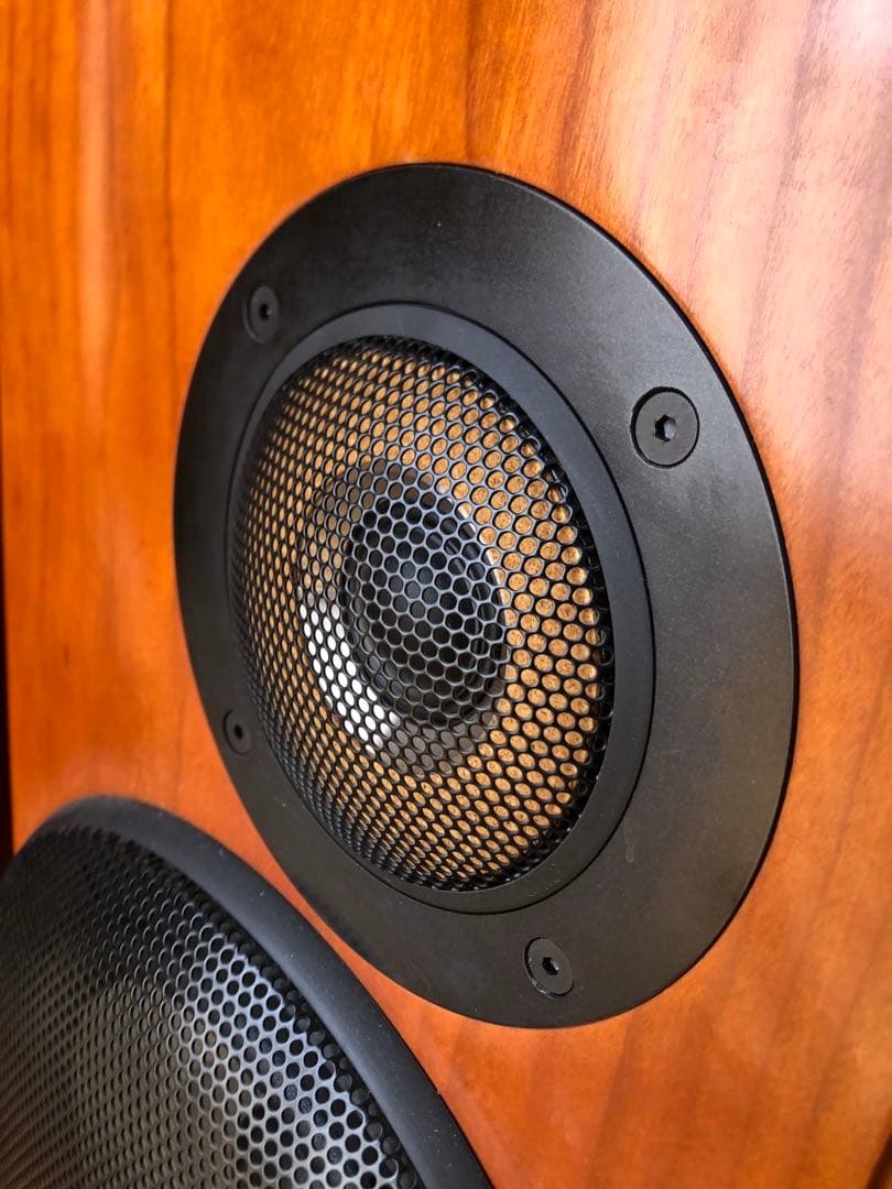 Victor ビクター SX-500DE スピーカー ドルチェ・エテルノ