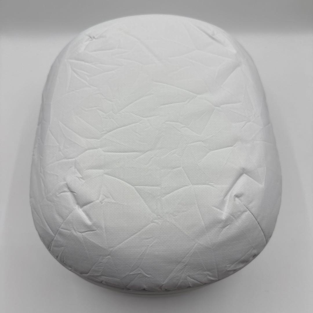 【純正】Apple Vision Pro トラベルケース