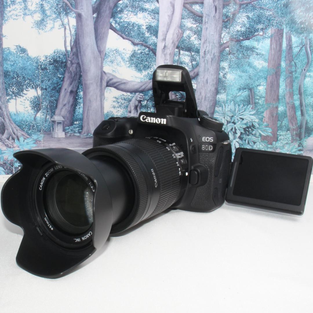 ❤️高性能モデル❤️Canon EOS 80D 遠近両用レンズセット