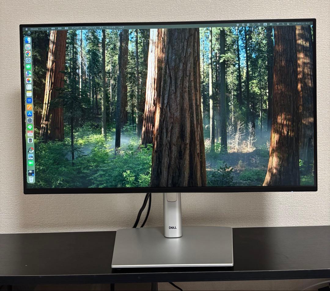 【美品】Dell デル　P2425H　2024年製　23.8インチ ディスプレイ