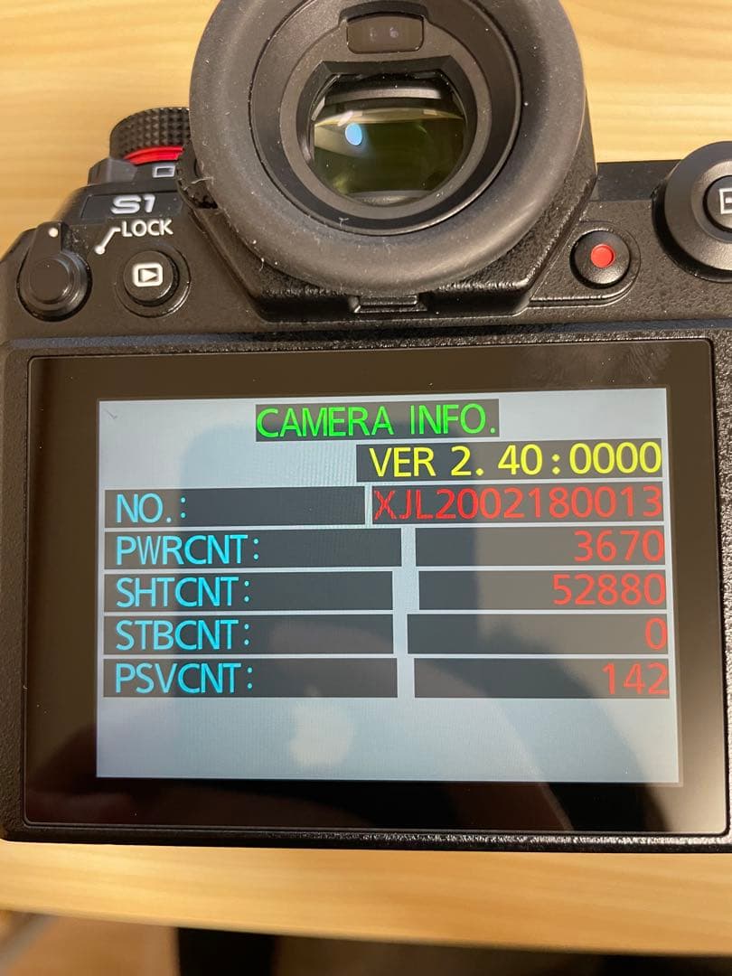 LUMIX DC-S1 20-60mmレンズキット【シャッター5.3万回】