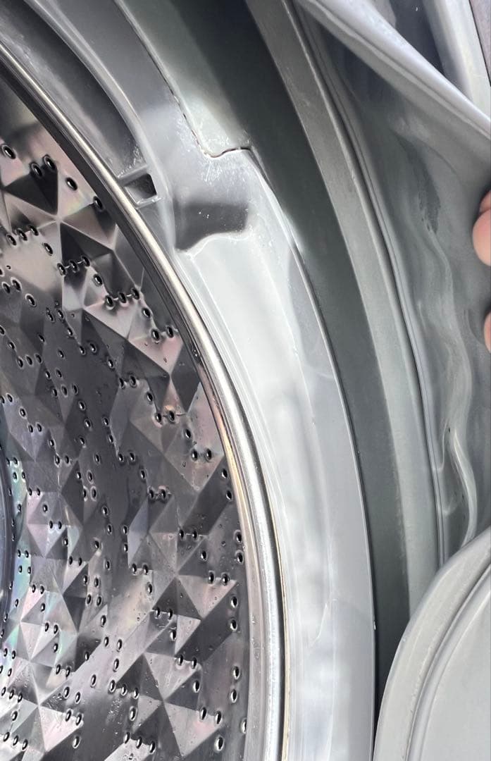 Panasonic ドラム式洗濯機 NA-VX9900L 10.0kg