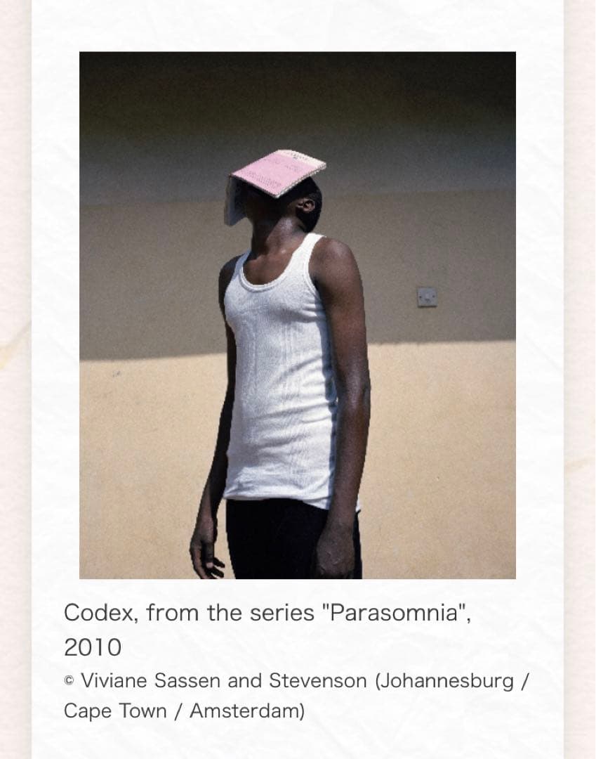 #ヴィヴィアンサッセン#ルイ・ヴィトン #Dior #Parasomnia』