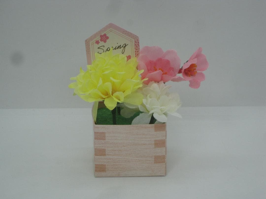 Canon キャノン コンパクトデジタルカメラ　 IXY 110F