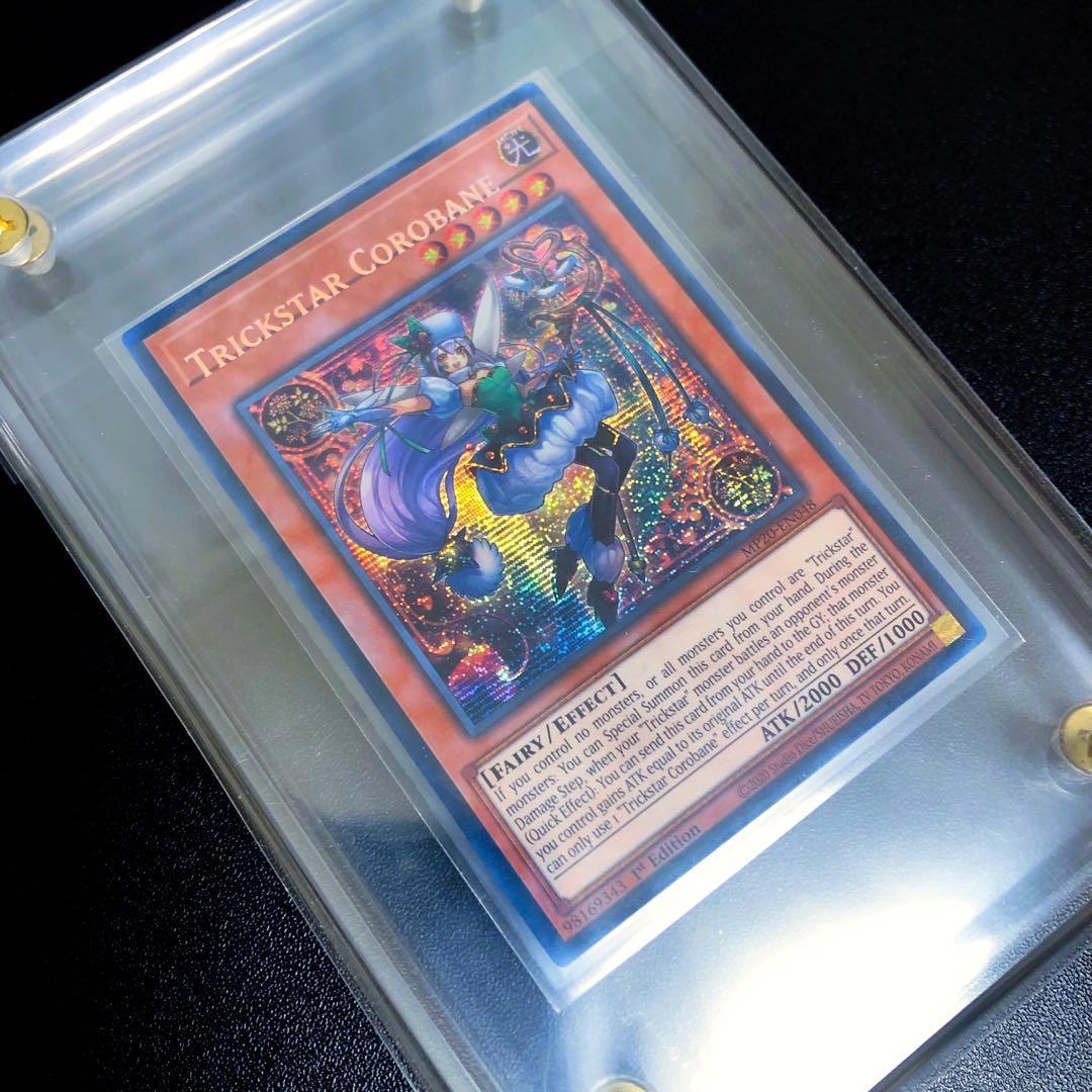 遊戯王　カード　未開封　引退品　プロモ　パック　字ズレ　ファイル　青眼の白龍　5