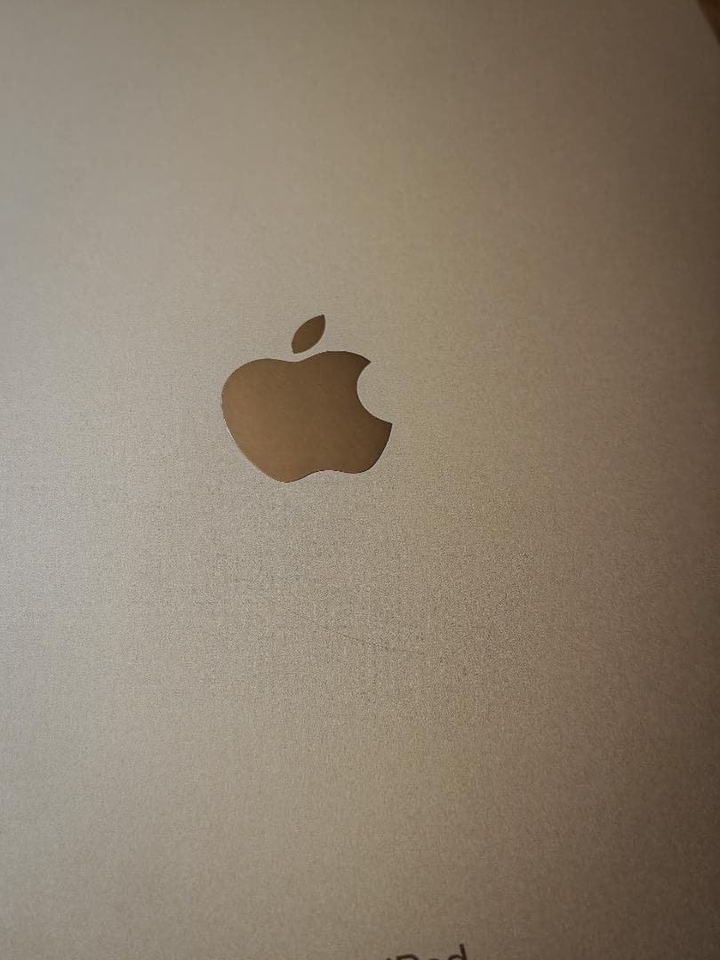 iPadPro 12.9 第3世代 1TB cellular