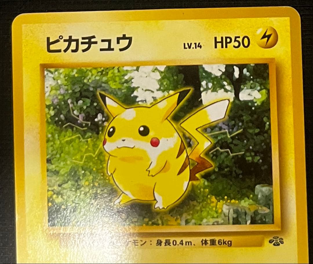 ポケモンカード　リザードン、ピカチュウ、ホウオウ　旧裏まとめ売り