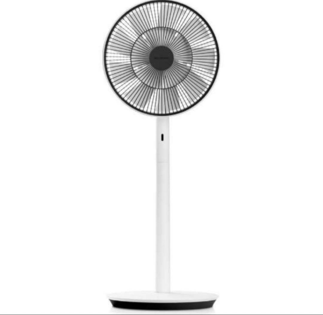 【新品・未開封】The GreenFan EGF-1800-WK バルミューダ