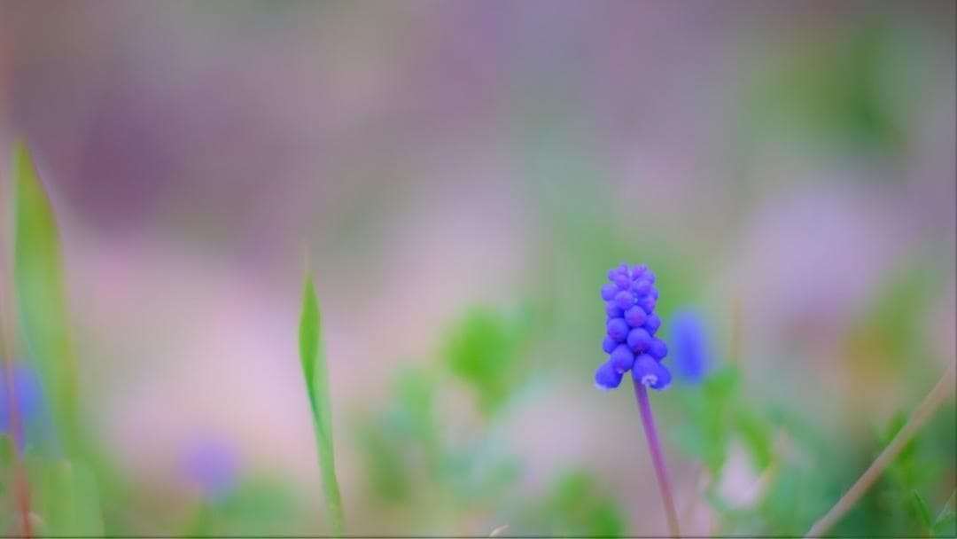 龍*様 未使用に近い！Titiartisan 50mm f1.2 fuji Xマ