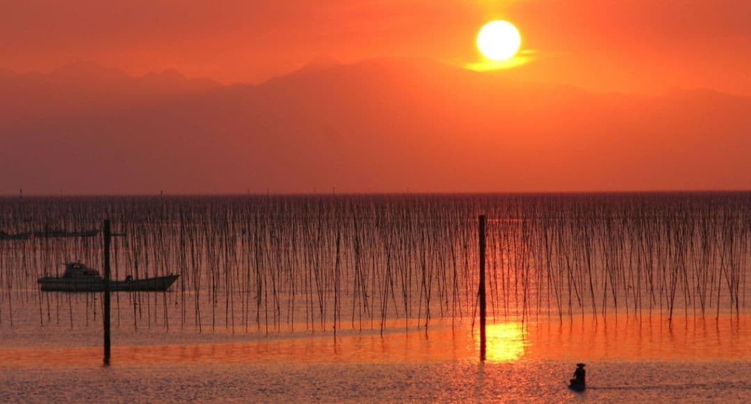 CANON　EOS　KissX　ダブルレンズ　超望遠　初心者　一眼レフ　キャノン