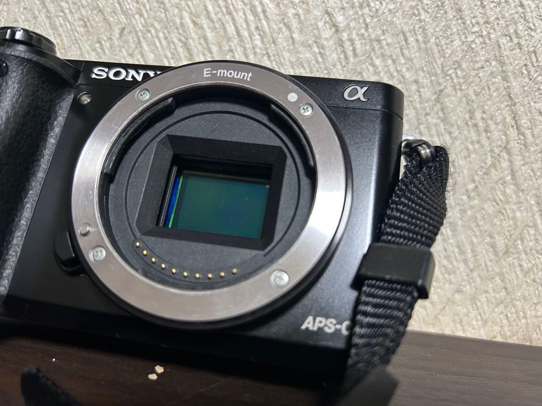 SONY α6000 （ILCE-6000Y）ミラーレス一眼