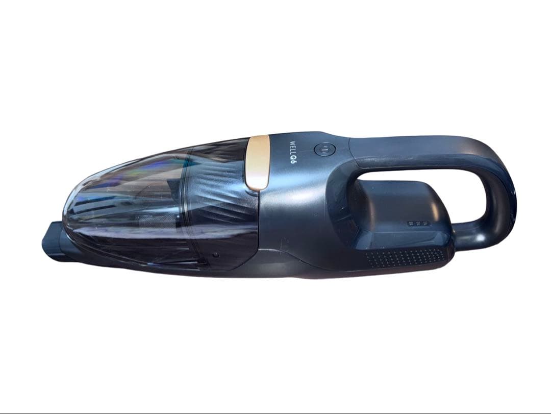 エレクトロラックス Well Q6 掃除機 WQ61-1OGG 2020