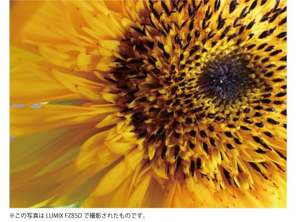 ✨コンパクト&軽量ボディ　60倍光学ズーム4K動画、タッチパネル　DCFZ85D