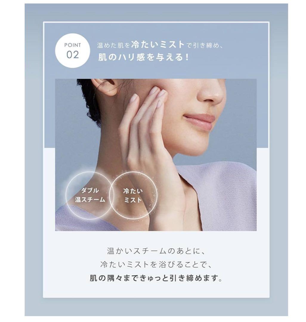 SALONIA PURE BRIGHT STEAMER グレー