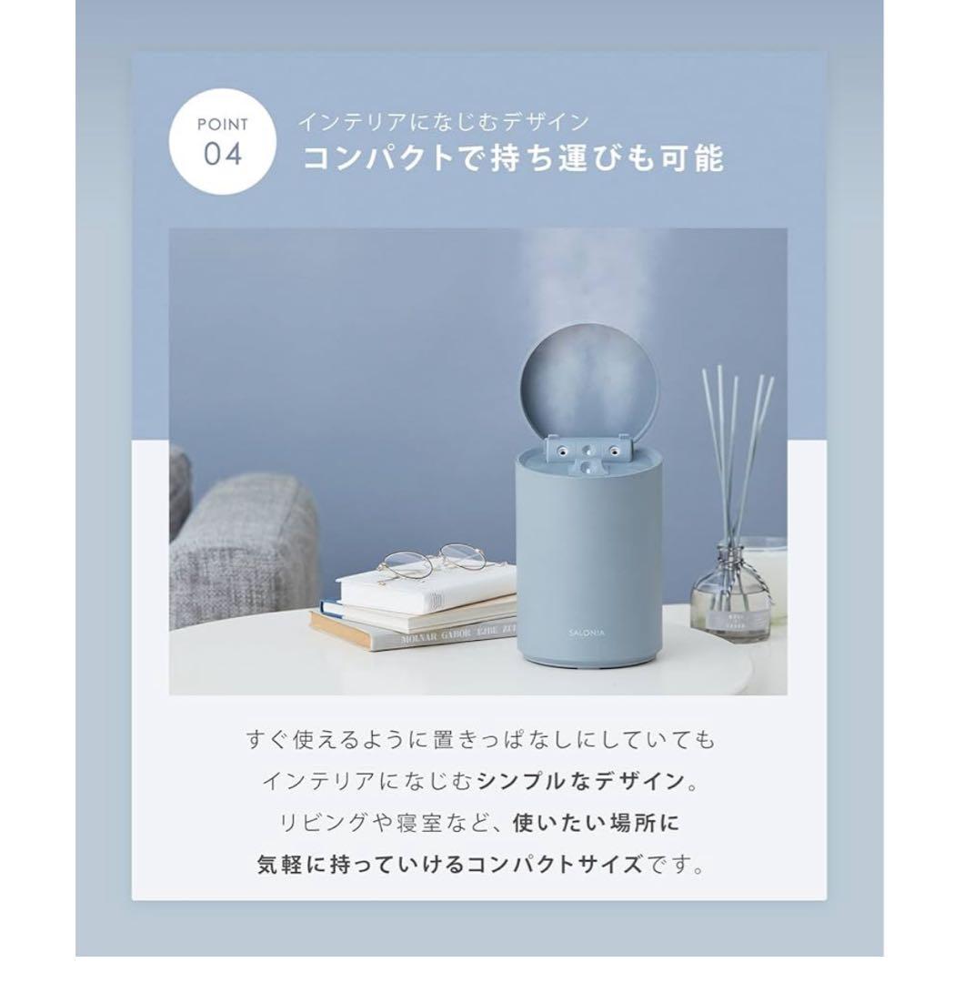 SALONIA PURE BRIGHT STEAMER グレー