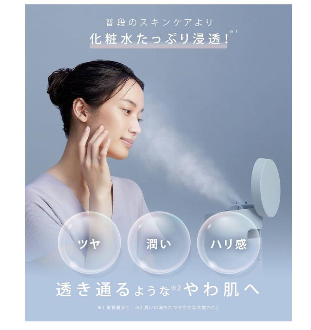 SALONIA PURE BRIGHT STEAMER グレー