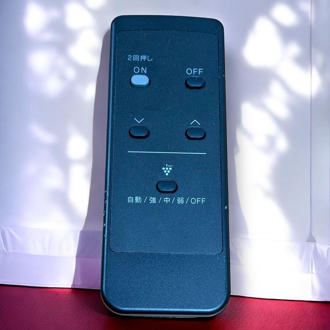 ☆24年製美品 リンナイ RC-B5801ACP ガスファンヒーター 都市ガス用