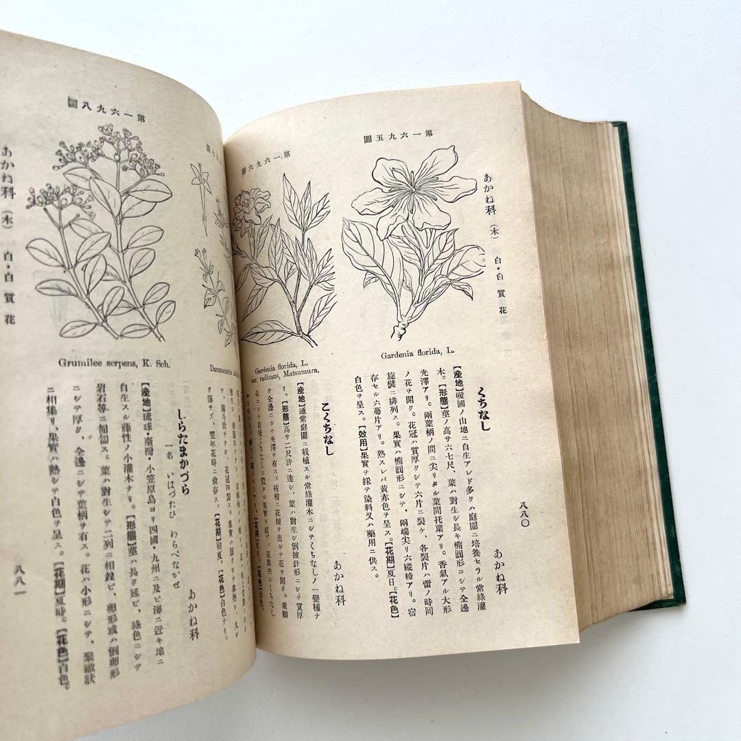 日本植物図鑑　牧野富太郎　北隆館　1925年初版