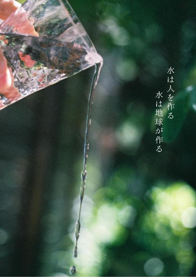 Canon EOS 1N フィルム一眼レフカメラ