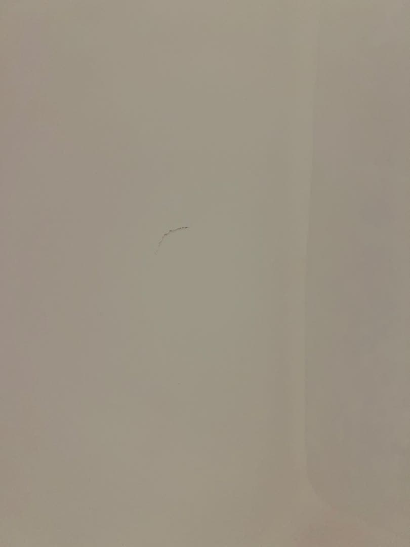 もじゃもじゃ様シリンダーヘッド①②