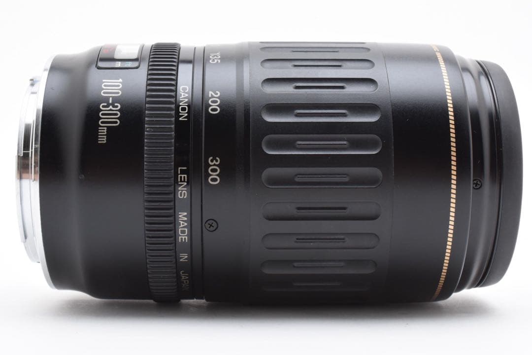 キャノン望遠レンズ Canon EF 100-300mm F 4.5-5.6