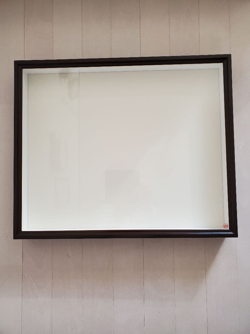 バードウィング社BW60UV 大型標本ケース 茶