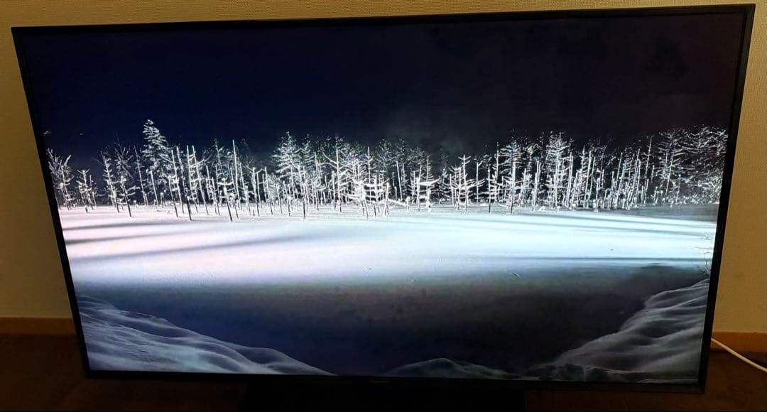 パナソニックビエラPanasonicVIERATH-49LX-900⭐︎4K液晶⭐︎