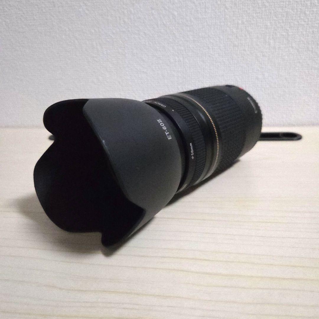 Canon EOS Kiss X9 シルバー 75-300mm