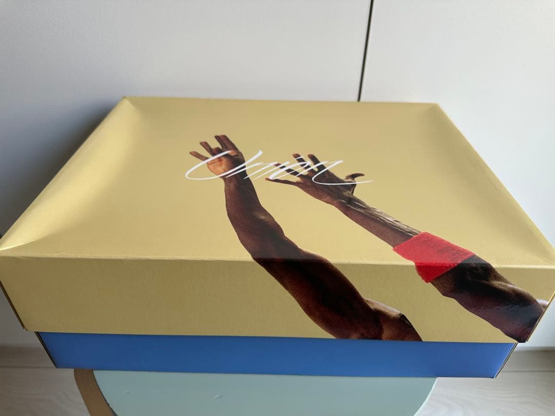 Air Jordan 4 RETRO SP UNION US12 グアバ