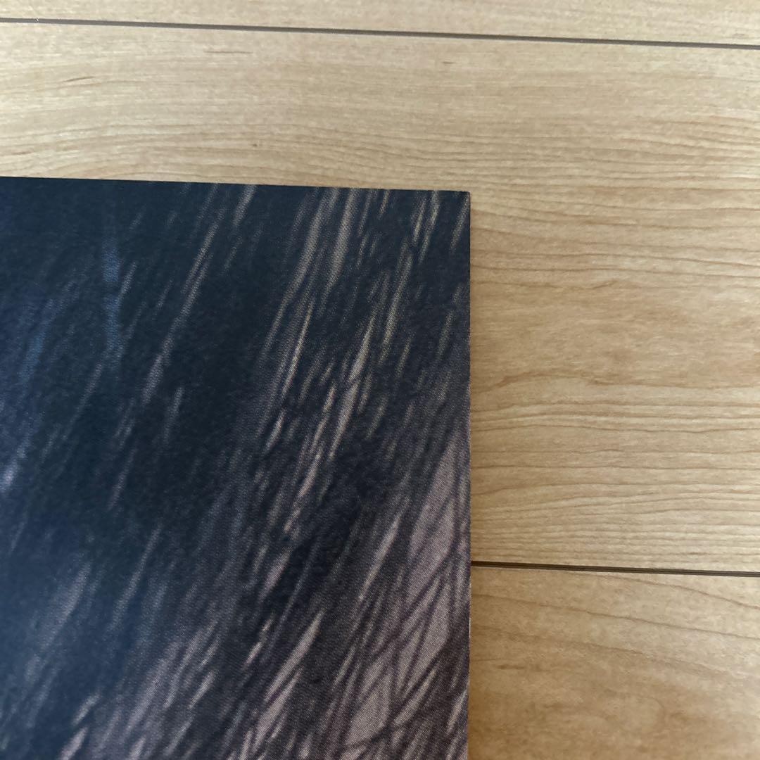 ※山口小夜子 資生堂ポスター 舞 1978年 パリコレモデル 横須賀功光