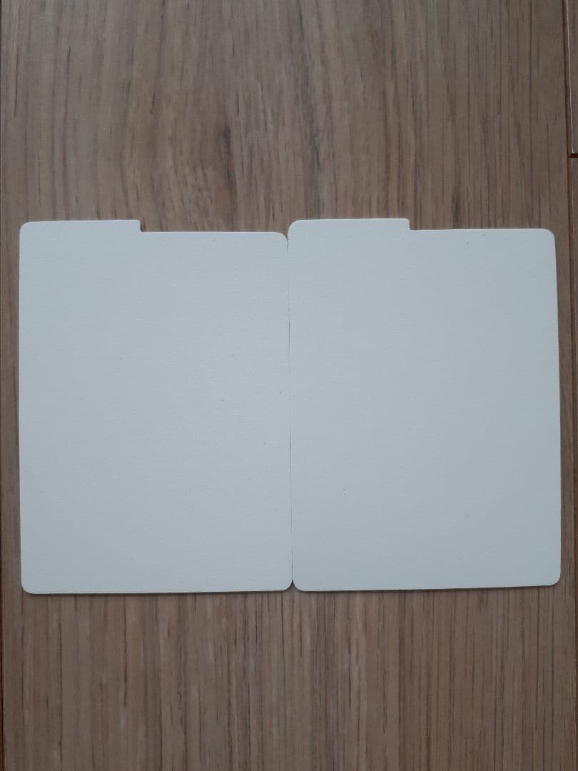 ストリンダー　フリップデッキケース　限定品