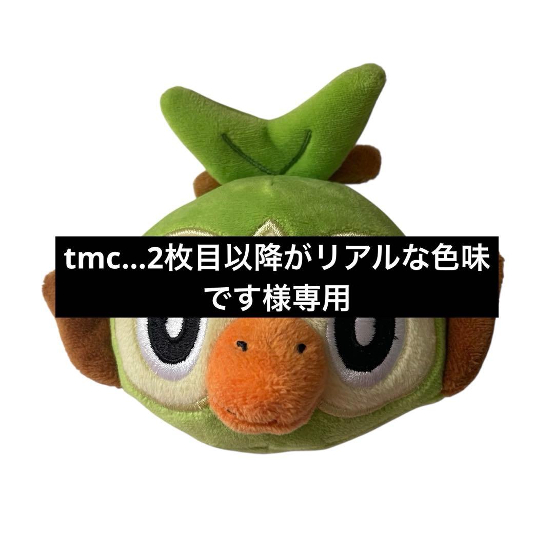 tmc...2枚目以降がリアルな色味です