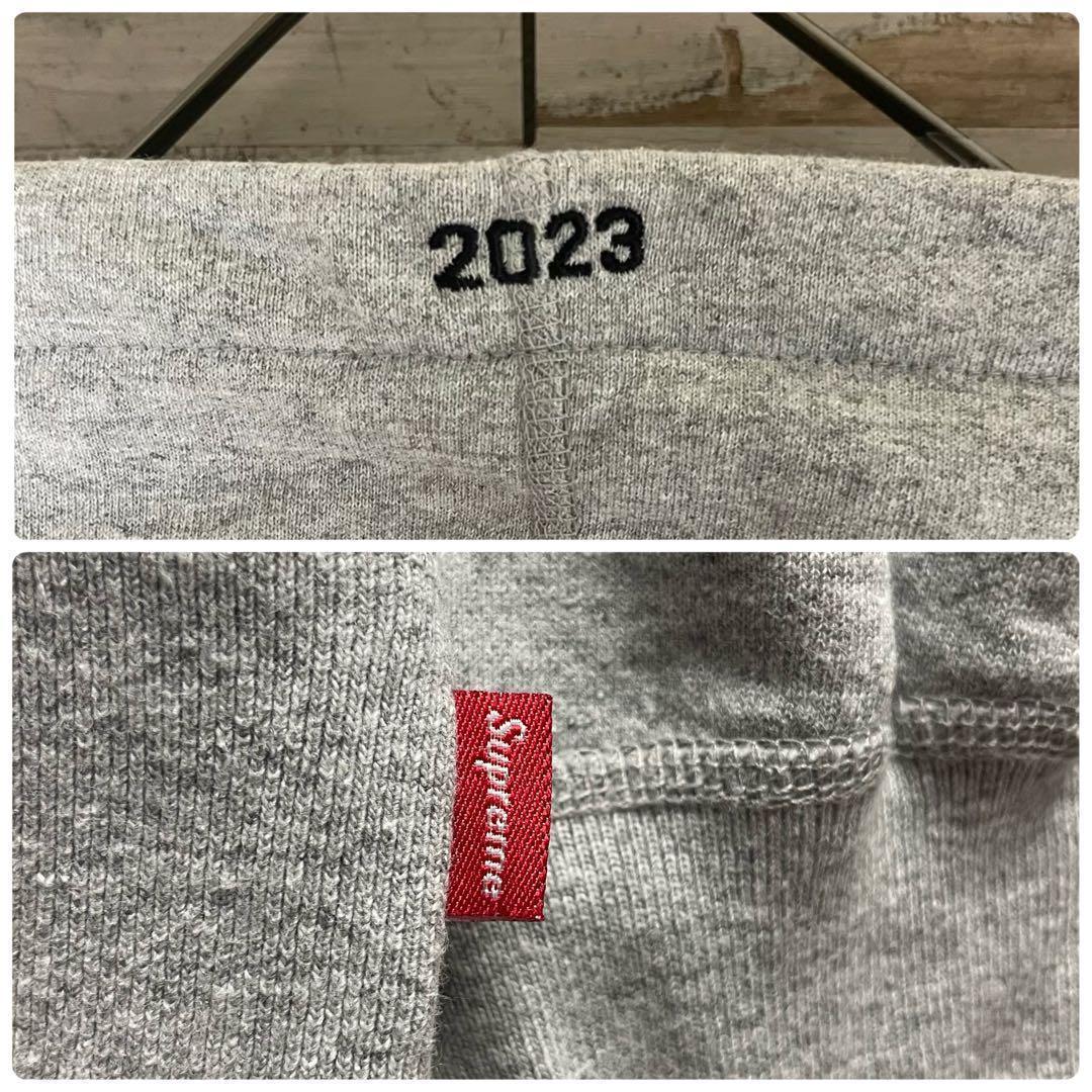 3292 U【人気デザイン】シュプリーム☆モーションロゴ パーカー 2023