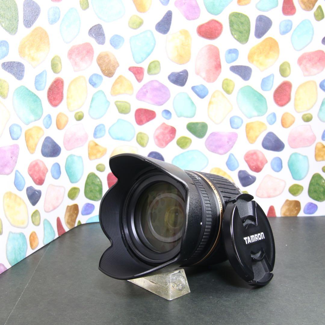 ♥︎◇美品 ◇TAMRON 18-250mm Nikon F ◇フード付き