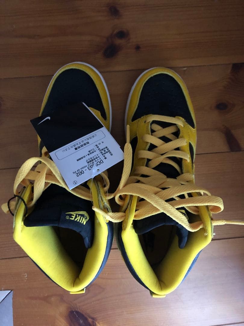 NIKE DUNK HIGH SP 22センチ