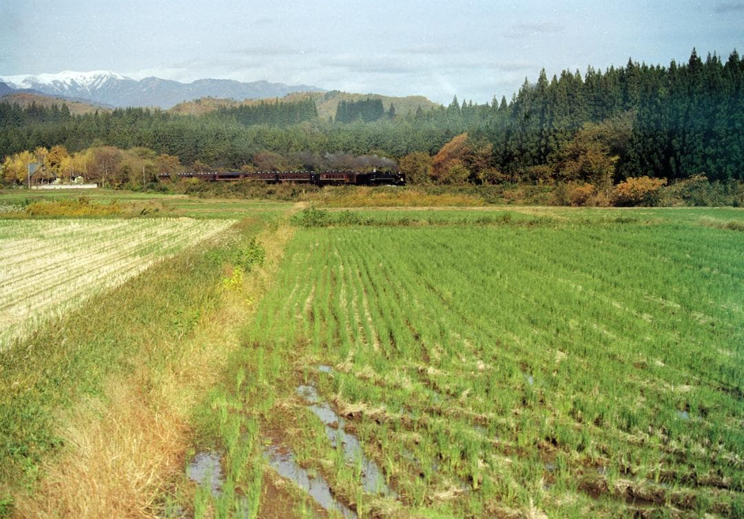 マミヤM645Body・PDファインダー＆ワインダー付【実写確認済整備品】