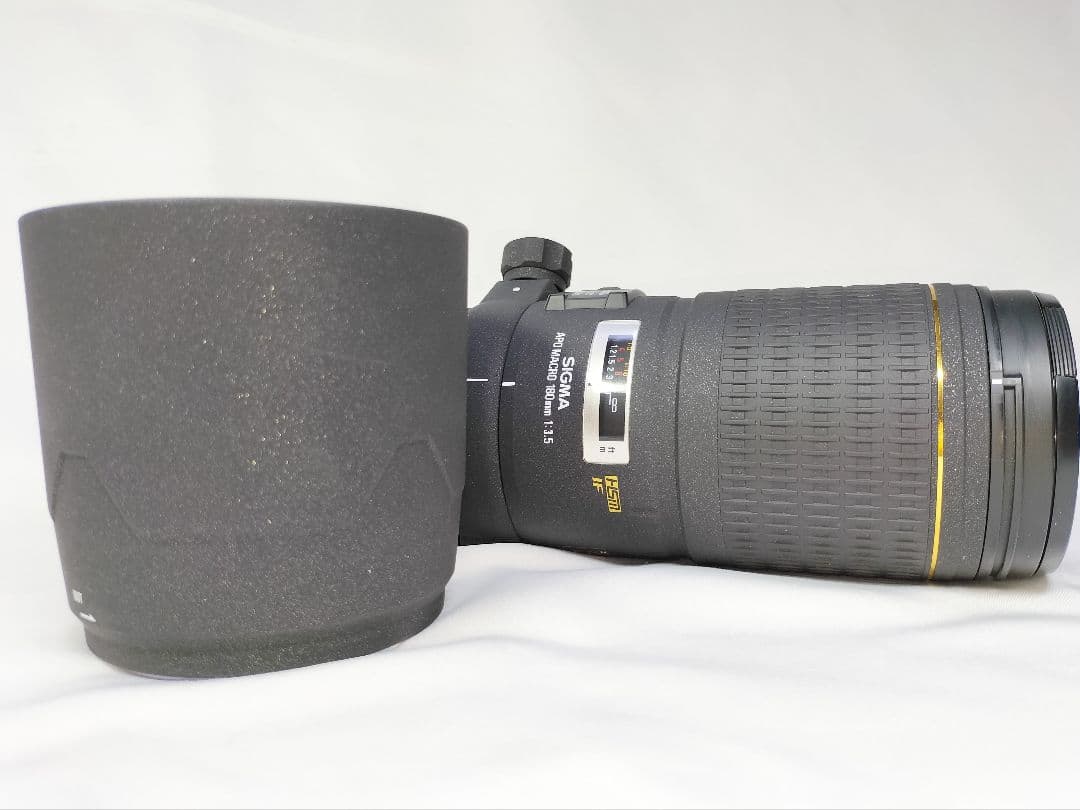 並品 SIGMA APO マクロ 180mm F3.5 EX HSM キヤノン用