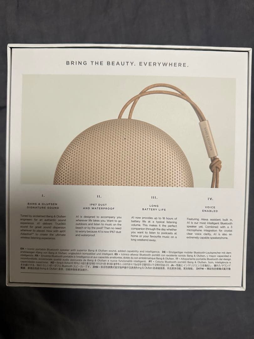 スピーカー・ウーファー Bang & Olufsen Beosound A1 2ndGeneration