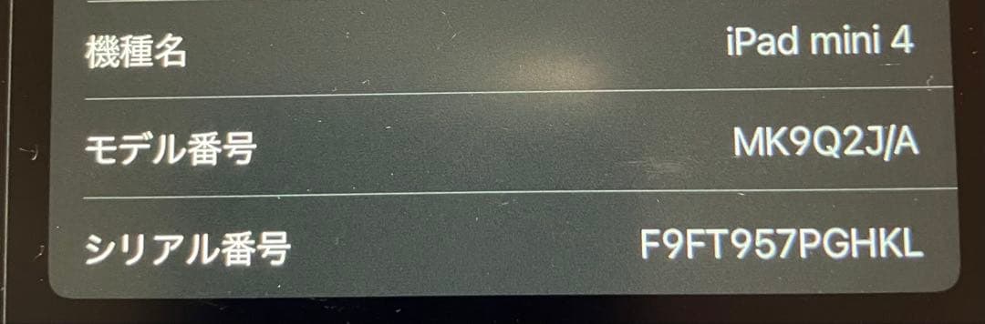 Apple iPad mini 4_MK9Q2J/A 本体　中古　128GB