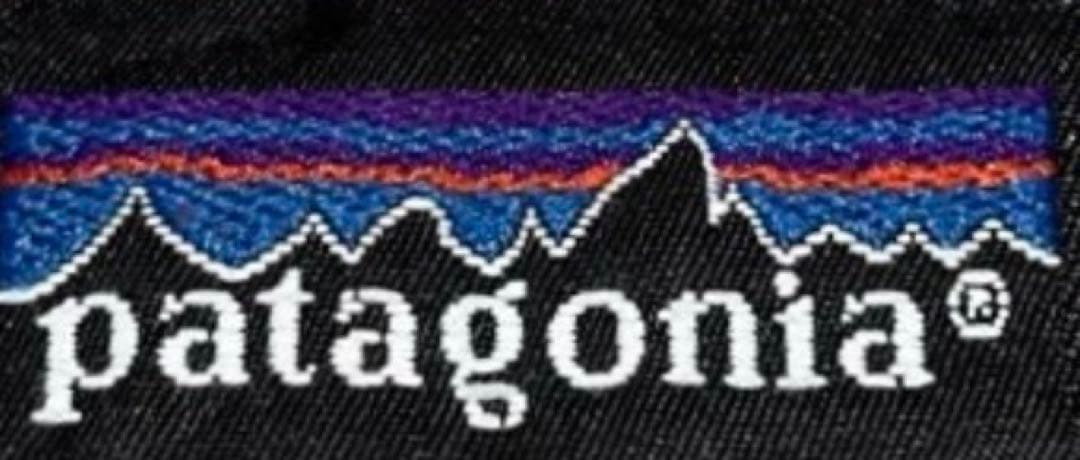 【激レア】90's Patagonia パタゴニア スナップT シンチラ