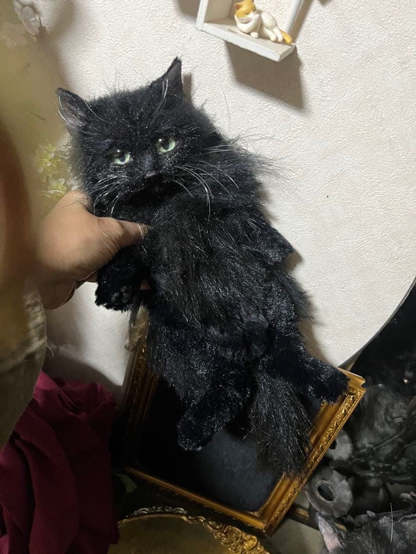 黒猫 30センチ