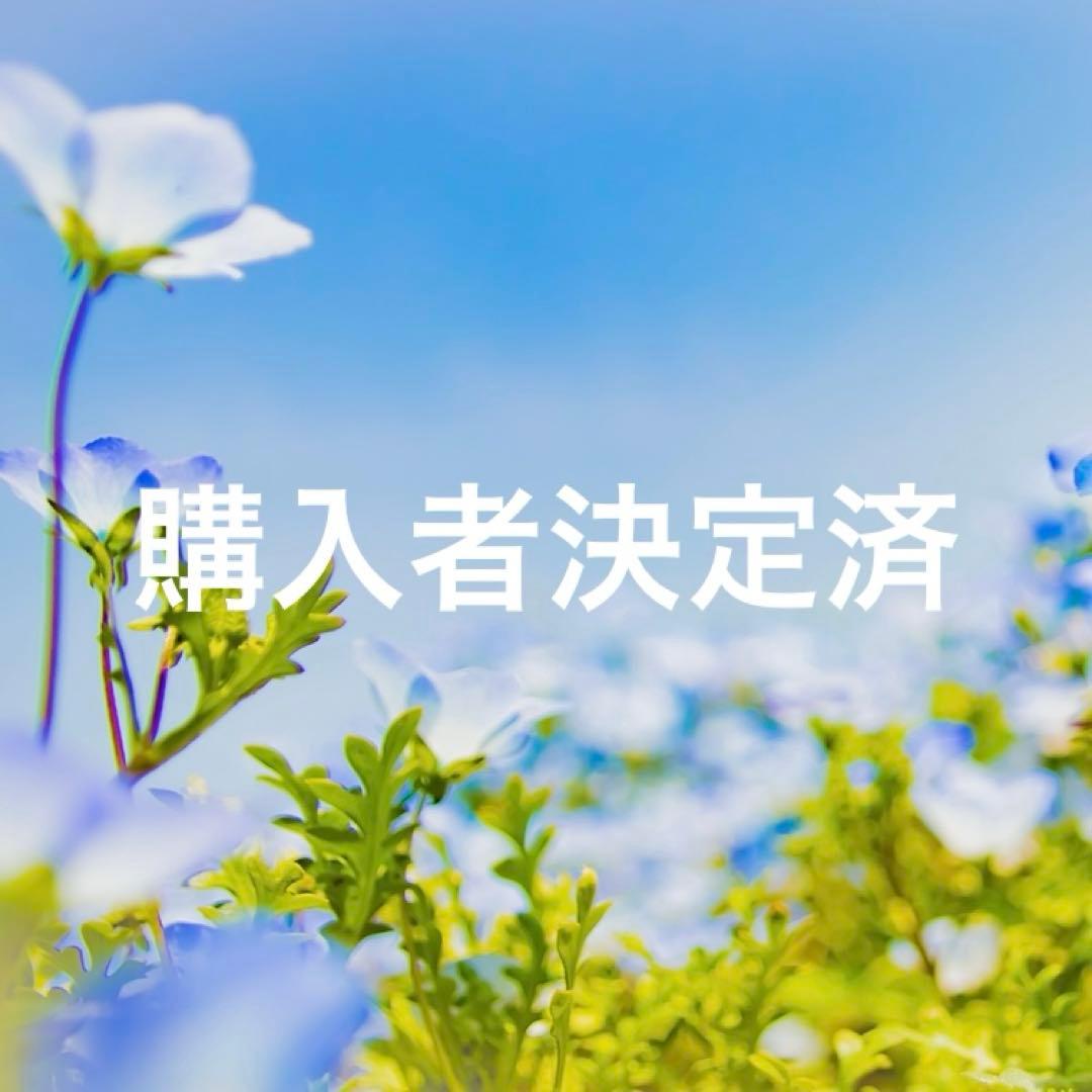 【購入者決定】トゥルースリーパー プレミアムリッチｐr2　セミダブル　特別セット