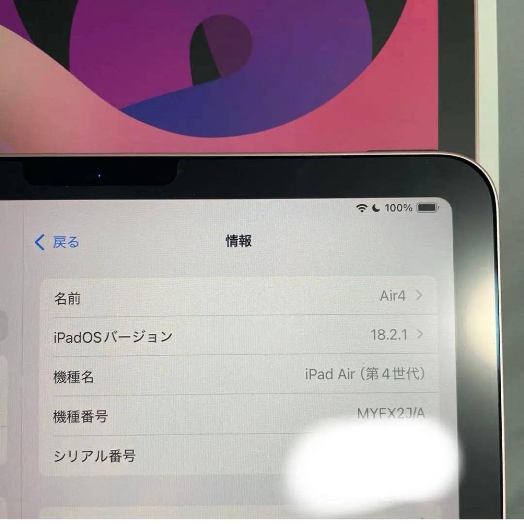 iPad本体 iPad Air4 256GB Apple Pencil2