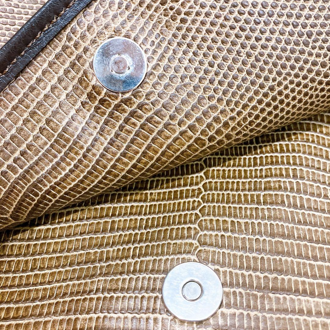 【逸品】ETRO レザー　メッセンジャー　ショルダーバッグ　蛇柄　型押し